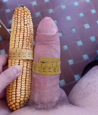 foto3.jpg
