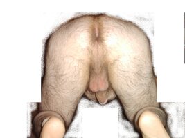 JPG_578420736.jpg