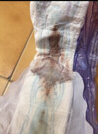 IMG_1893.jpeg