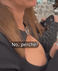 20240214_070008 (1).gif