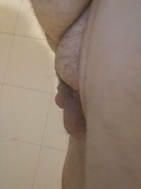 IMG_20240519_053452_2.jpg