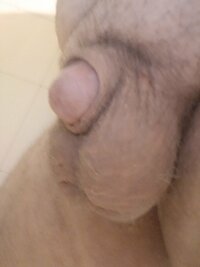 IMG_20240519_053426.jpg