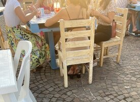 6B9F9CF9-F075-4DCE-9AA8-1C5EF75D6278.jpeg