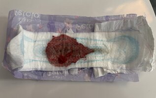 IMG_3047.jpeg
