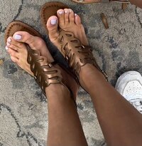 8118850.jpg