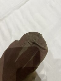 IMG_7736_Original.jpeg