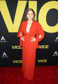 amy adams al gala 05.jpg