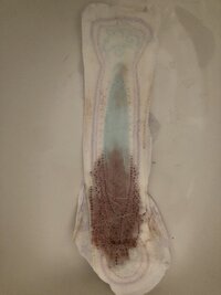 IMG_5624.jpeg