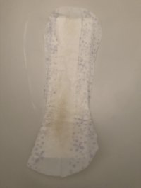 IMG_5664.jpeg