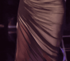 El 20241219_161115.gif