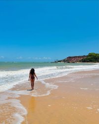 noelledosanjos_20250225_p_3575834829103610644_5_3575834820262166838.jpg
