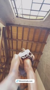 vlcsnap-2025-05-02-19h21m50s911.jpg