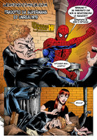 Spiderman1_01.jpg
