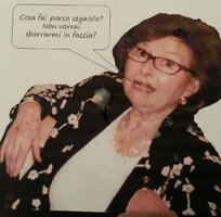gabriella_195101.jpg