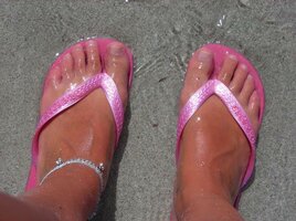 img1.jpg