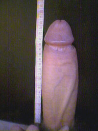 gallo di 24cm.jpg