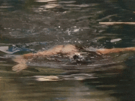 ezgif-4-d08519f296ba.gif