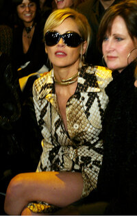 sharon stone al gala di moda 02.jpg