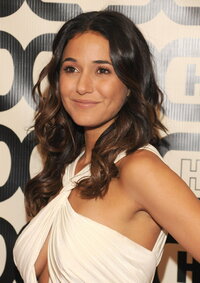 emmanuelle chriqui al gala 05.jpg