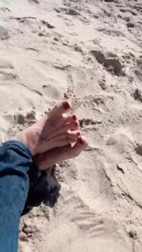 Elisabetta-Canalis-Feet-4141385.jpg