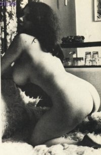 317.jpg