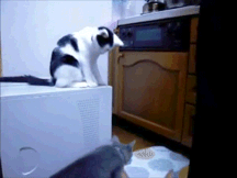 28012012_3.gif