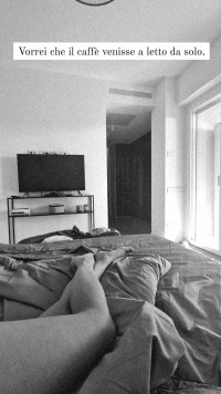 real_brown-13112022-0001.jpg