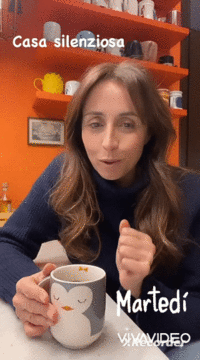 XiaoYing_Video_16782007688621678200769.gif