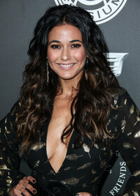 emmanuelle chriqui al gala 04.jpg