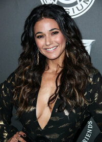 emmanuelle chriqui al gala 05.jpg