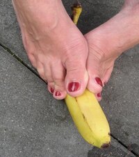 pie_8483.jpg